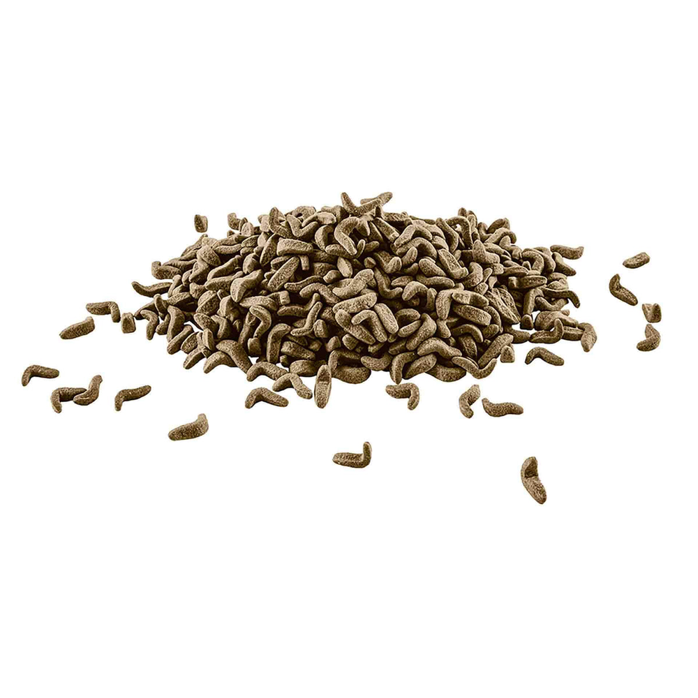 Tetra ReptoMin Floating Food Sticks 270g