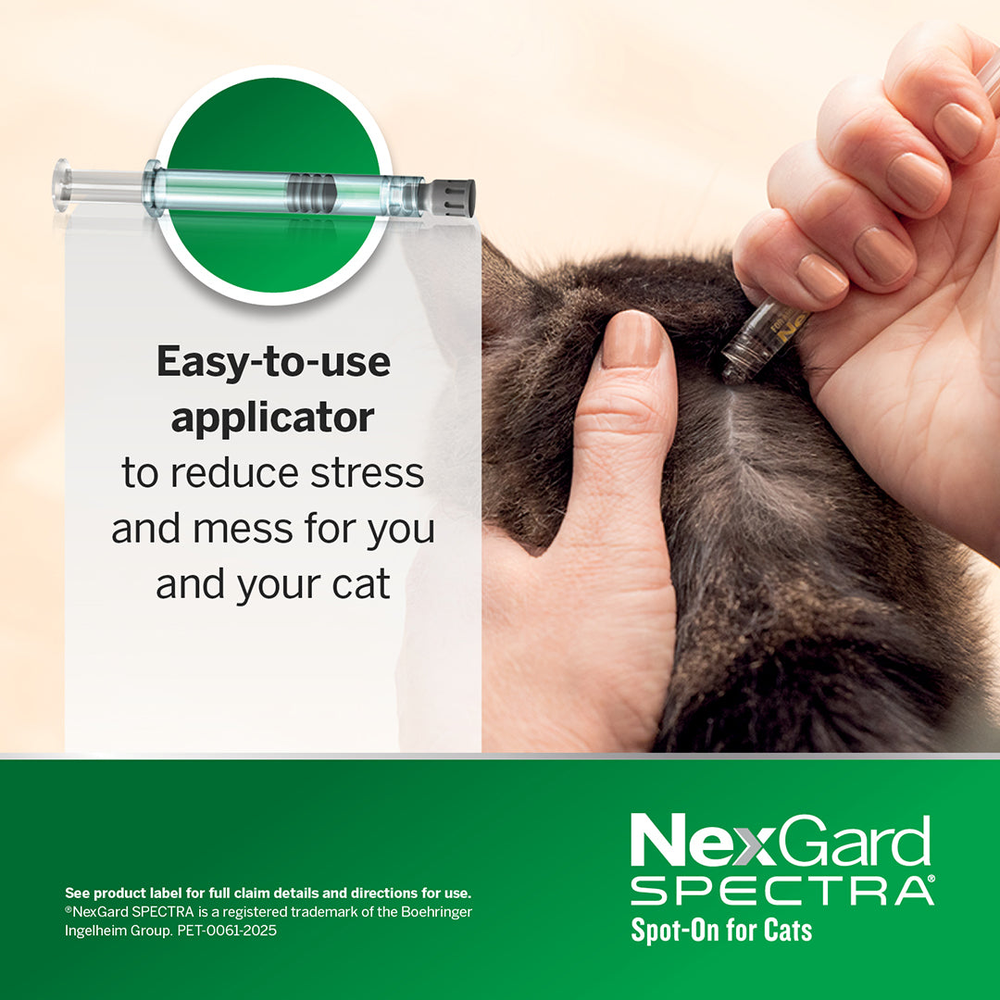 NEXGARD SPECTRA Flea, Tick & Worming Spot On For Cats 2.5-7.5kg