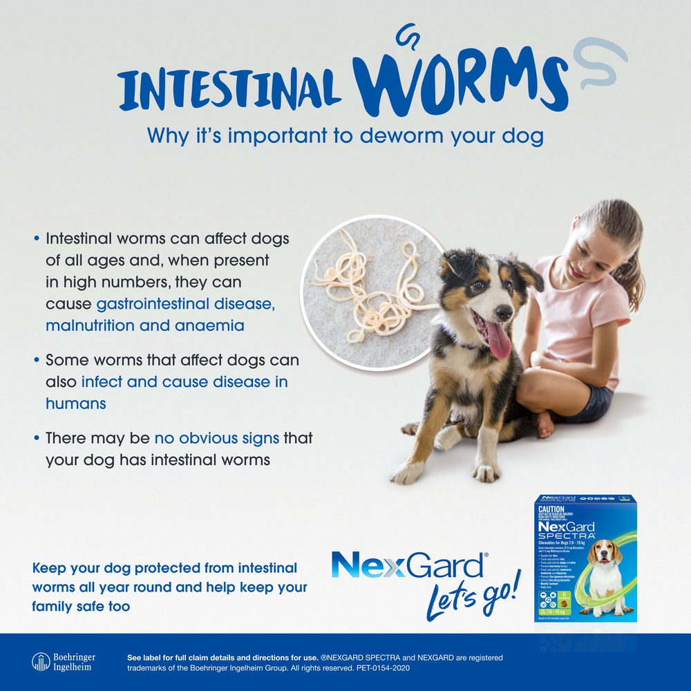 NEXGARD SPECTRA Flea, Tick & Worming Chews For Dogs 2-3.5kg