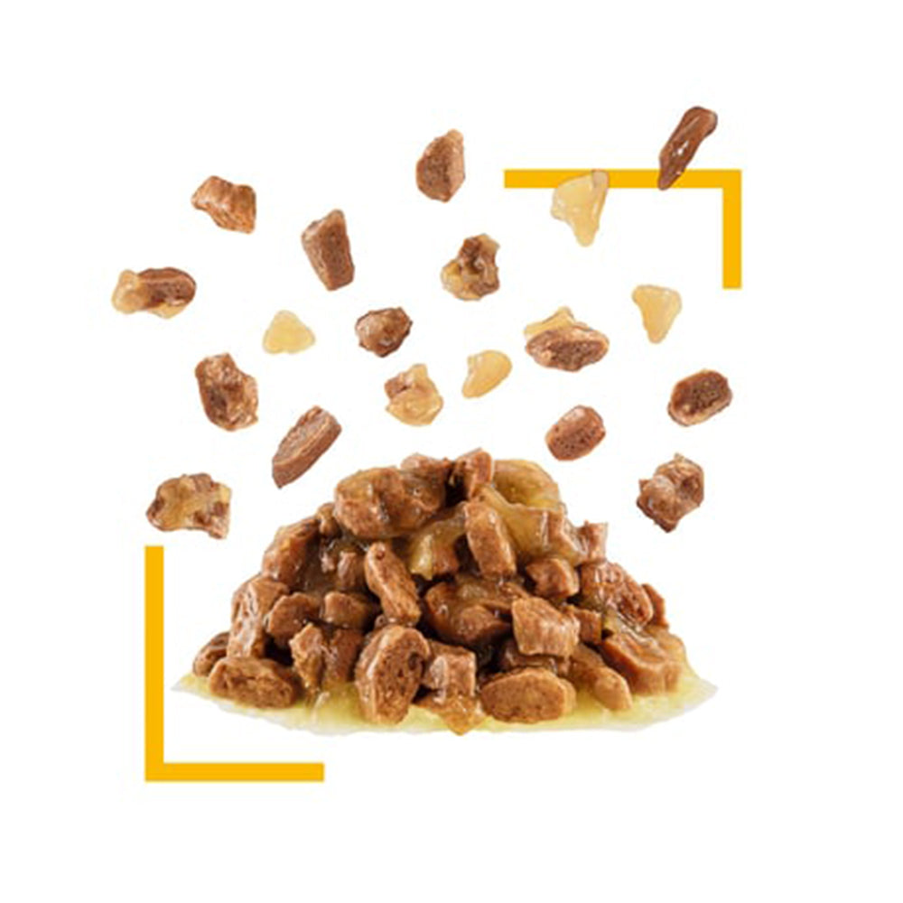 ROYAL CANIN Sensory Taste Jelly Adult Wet Cat Food 85g x 12