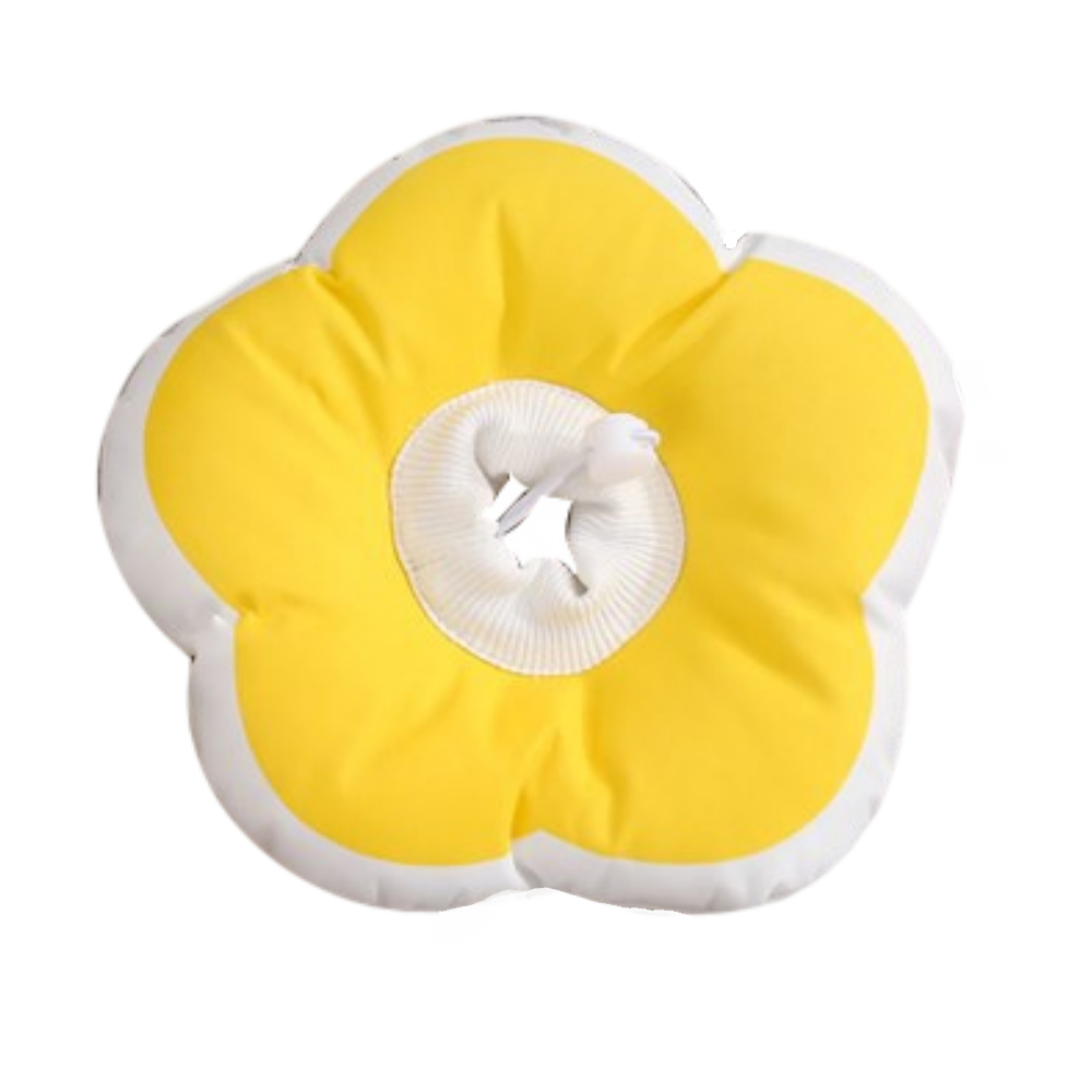CATIO Pet Elizabeth Collar - Sunflower M