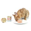 CAT FOREST Premium Tuna White Meat with Shrimp in Gravy Canned Cat Food