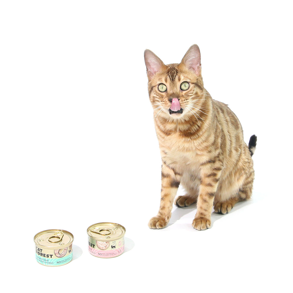 CAT FOREST Premium Tuna White Meat with Shrimp in Gravy Canned Cat Food