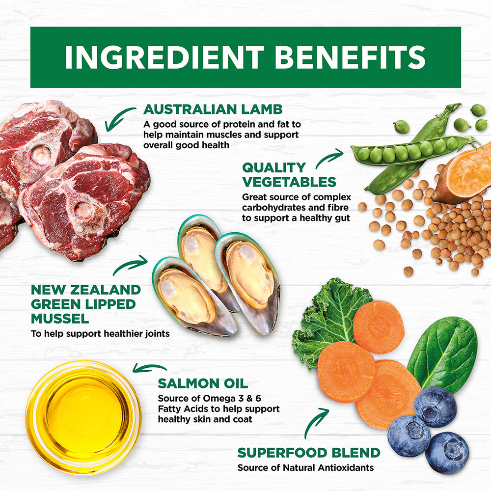 IVORY COAT Grain Free Lamb Adult Large Breed Dog Food 13kg