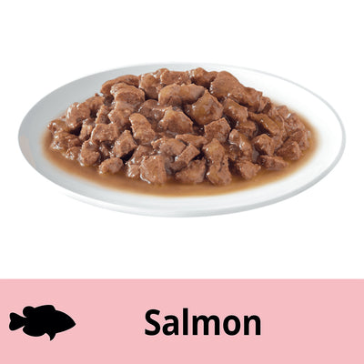 DINE Saucy Morsels With Salmon Cat Wet Food 14x85g