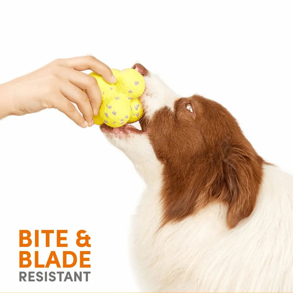 FOFOS The Amazing Ultra-Durable Yellow/Grey Bounce Dog Toy Ball