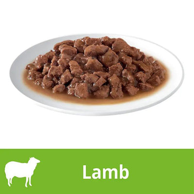 DINE Cuts In Gravy With Lamb Cat Wet Food 14x85g