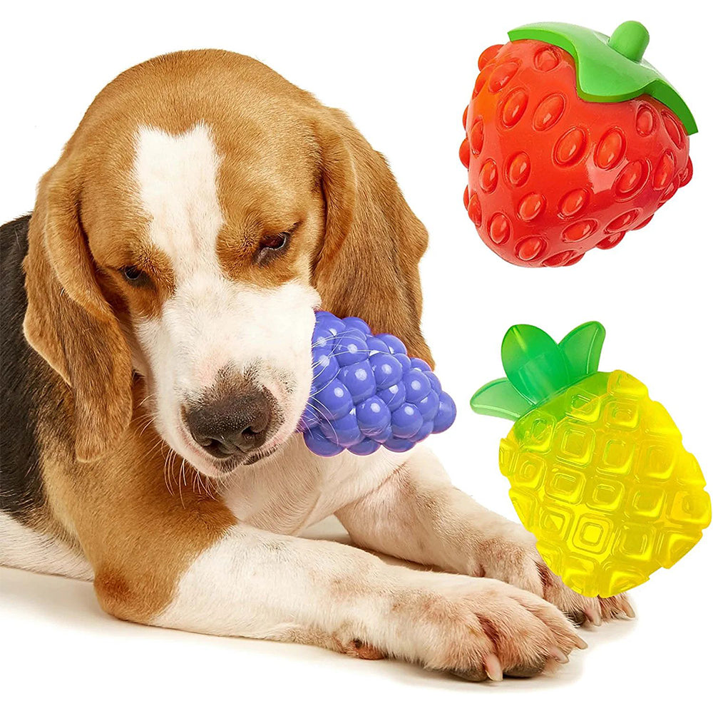 FOFOS Fruity-Bites Jelly Pineapple Strong TPR Squeaky Puppy Dog Chew Toy