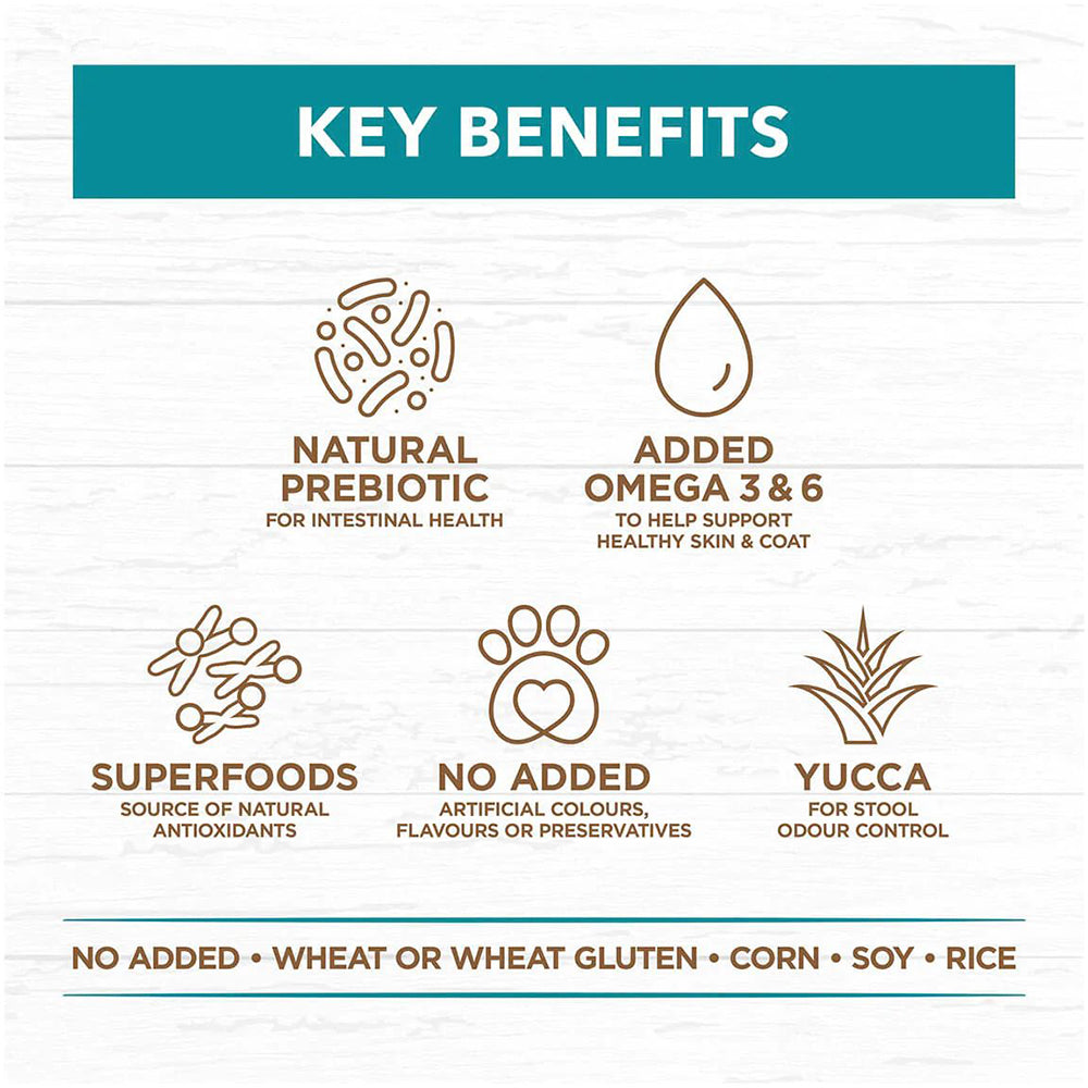 IVORY COAT Grain Free Ocean Fish & Salmon Adult Dog Food 13kg