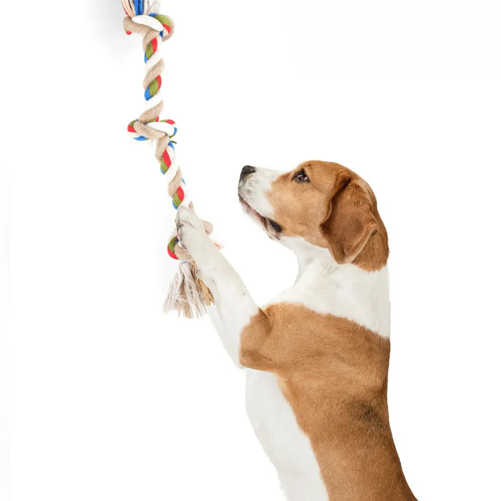 FOFOS Teething Flossy 3 Knots Rope Dog Toy