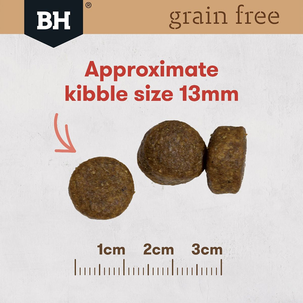BLACK HAWK Grain Free Kangaroo Adult Dry Dog Food 15kg