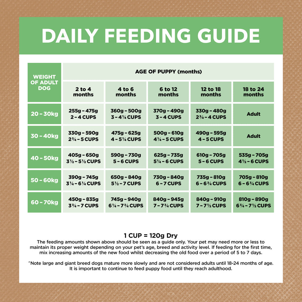 IVORY COAT Grain Free Lamb Puppy Large Breed Dog Food 13kg