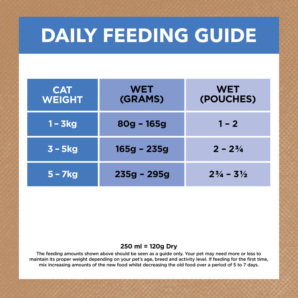 IVORY COAT Grain Free Chicken & Ocean Fish Jelly Adult Wet Cat Food 85g x 12