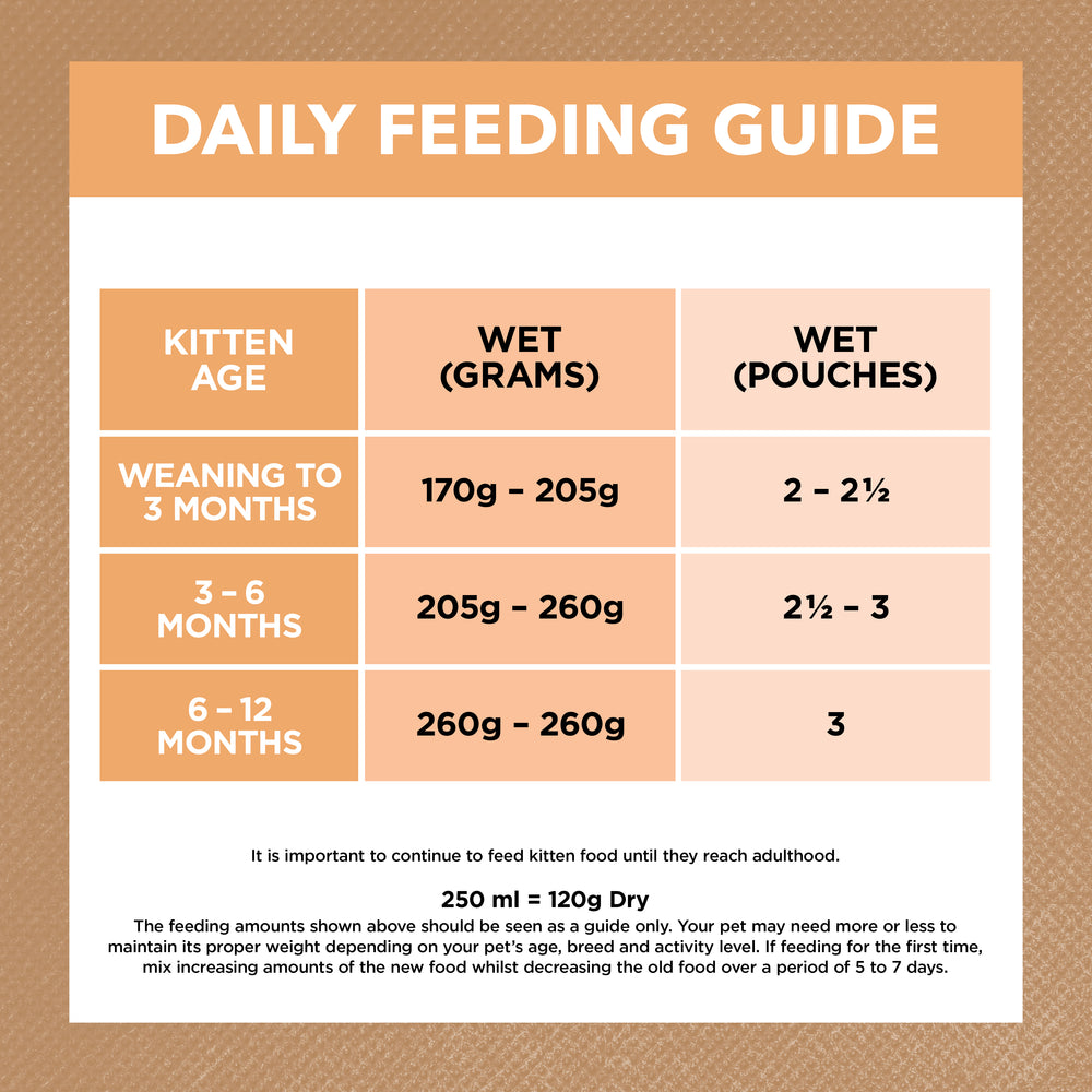 IVORY COAT Grain Free Chicken Gravy Kitten Wet Cat Food 85g x 12