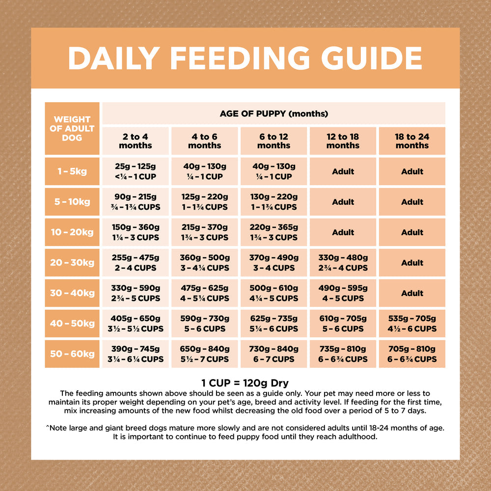 IVORY COAT Grain Free Chicken Puppy Dog Food 13kg