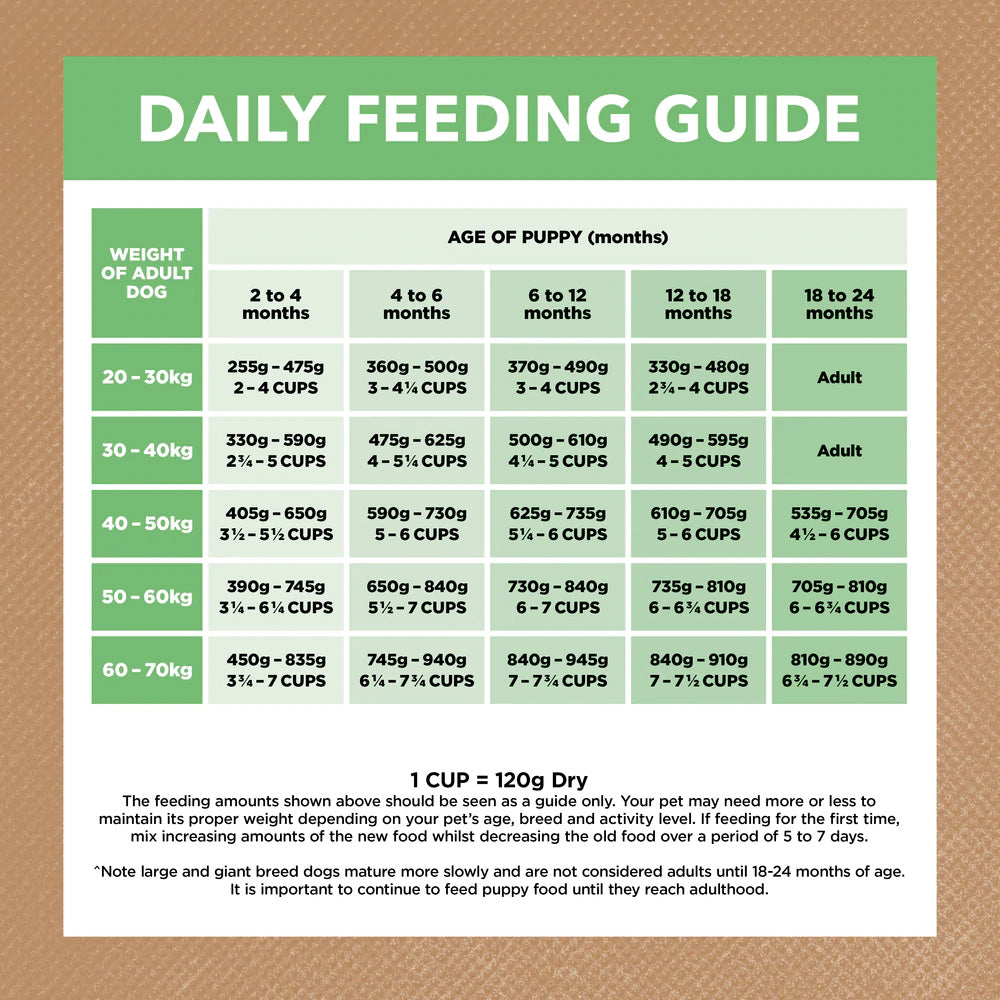 【EXP-30/04/2026】IVORY COAT Grain Free Lamb Puppy Large Breed Dog Food 2kg