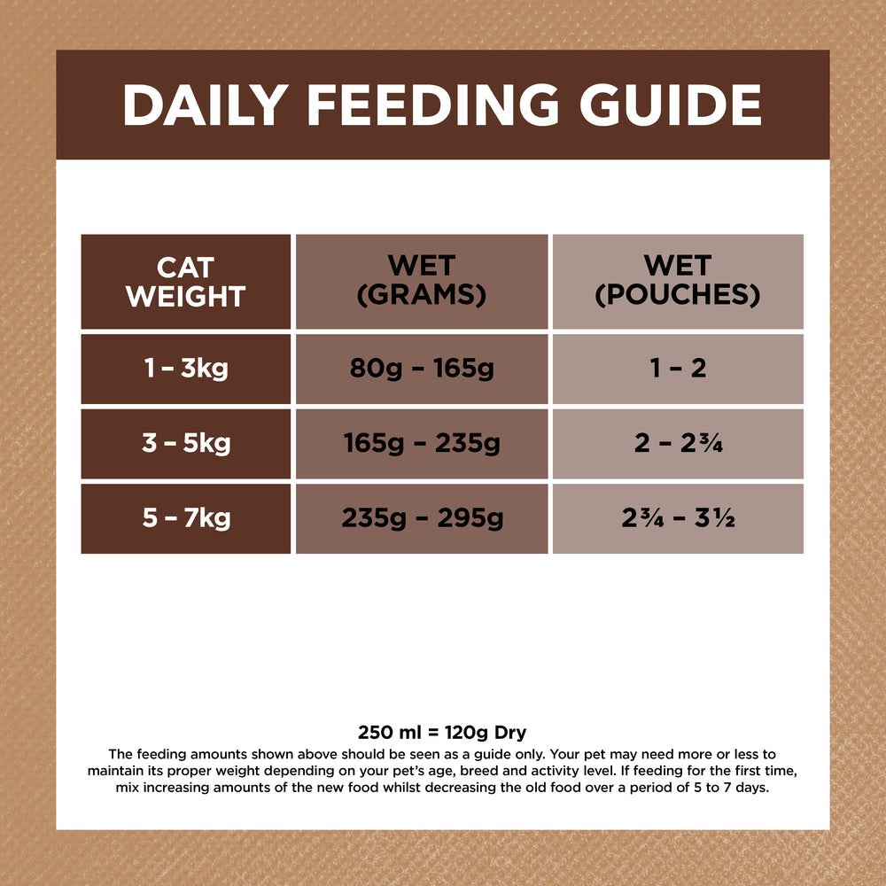 IVORY COAT Grain Free Chicken & Kangaroo Gravy Adult Wet Cat Food 85g x 12