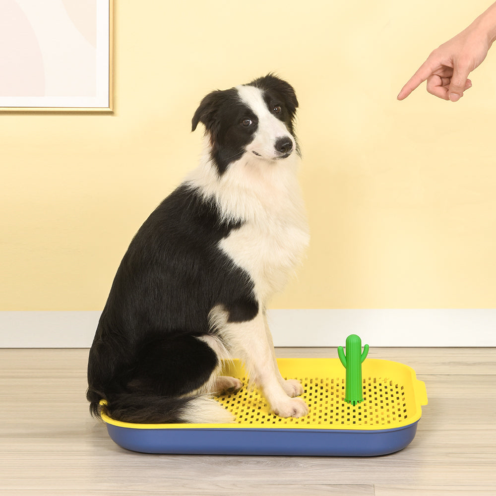 PAKEWAY Yellow Cactus Dog Toilet Training Pad