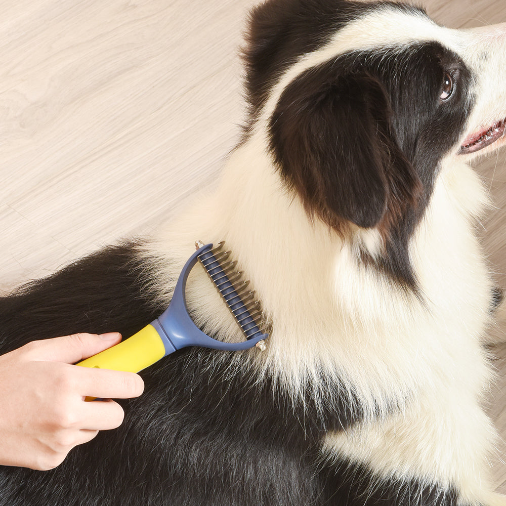 PAKEWAY Blue & Yellow T10 Pet Dematting Rake