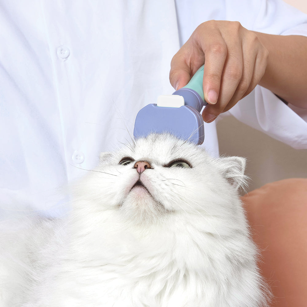 PAKEWAY T10 Short Hair Self-Cleaning Hair Removal Comb For Cats (Small)