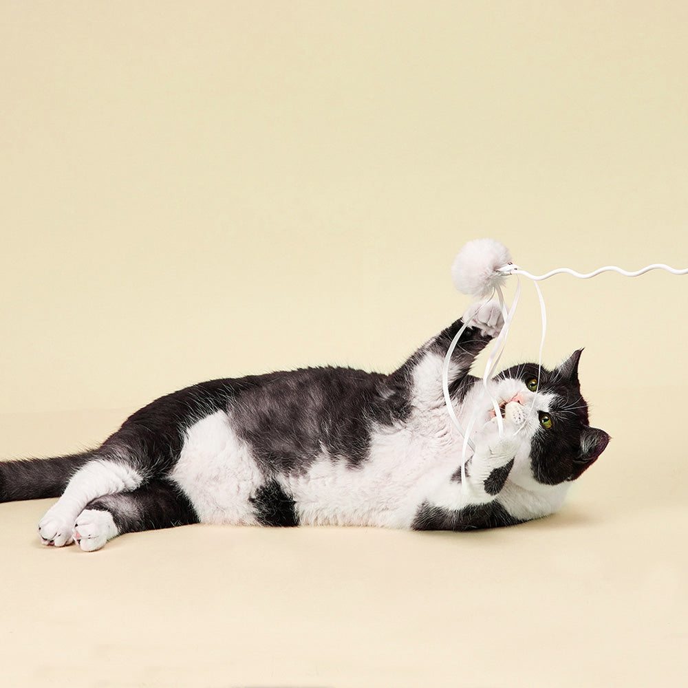 PETKIT Replacement Cat Wand Accessory