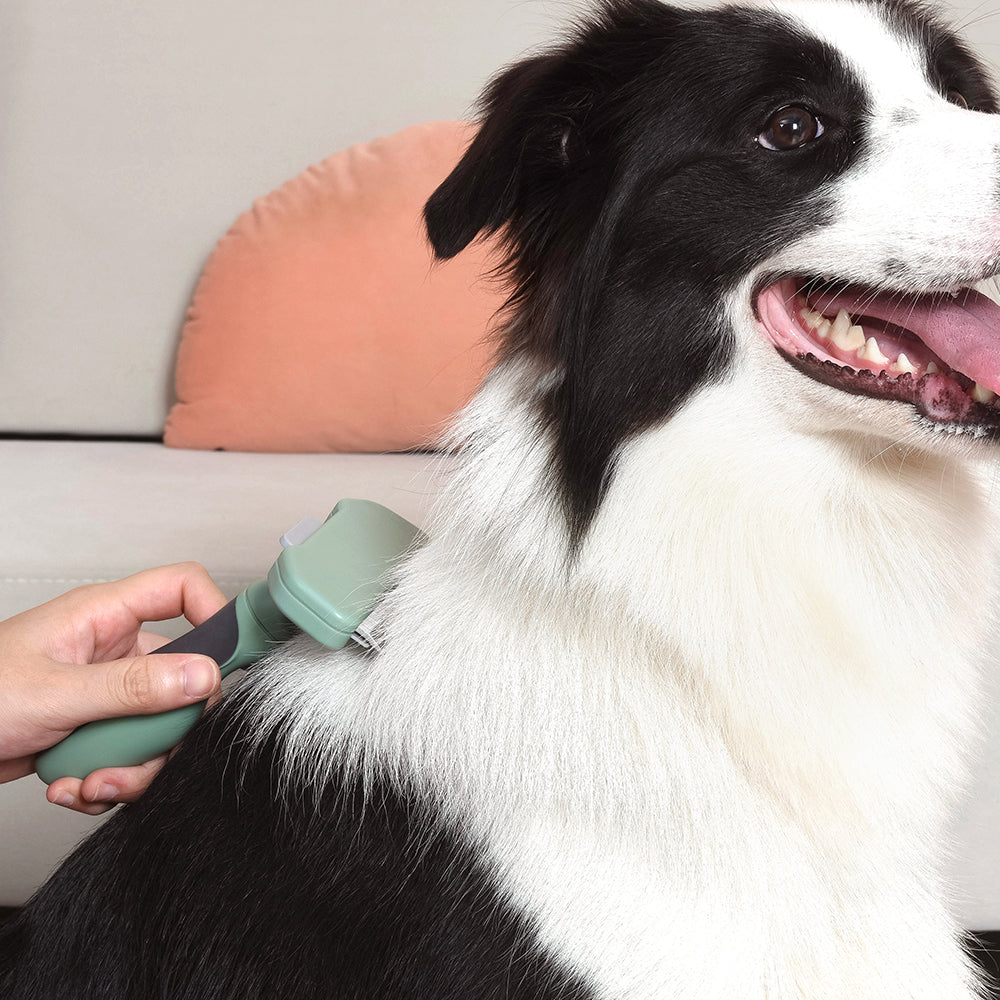 PAKEWAY T10 Self-Cleaning Short Hair Remover Dog Comb (Medium)