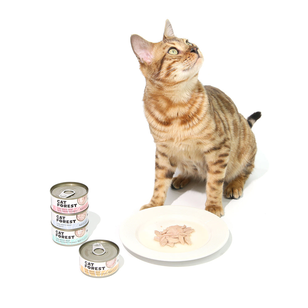 CAT FOREST Classic Tuna White Meat with Shrimp in Gravy Canned Cat Food