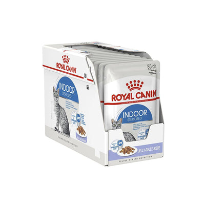 ROYAL CANIN Indoor Jelly Adult Wet Cat Food 85g x 12