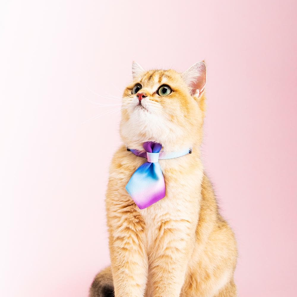 PIDAN Purple Wave Cat Necktie