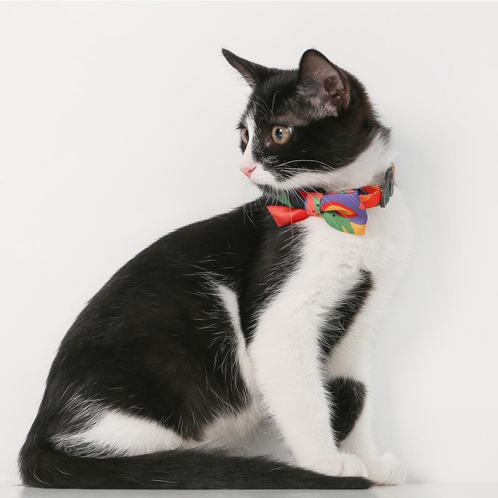 PIDAN Bow Tie Collar - Cat - A2 - Petso Online