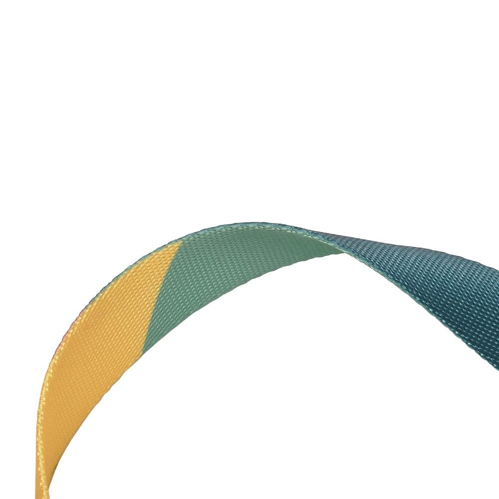 PIDAN Leash - Dog -Circular - A1 - Petso Online