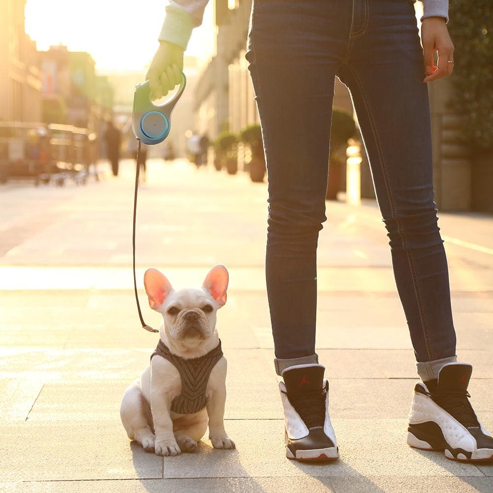 PETKIT Go Shine Dog Retractable Leash 4.7m