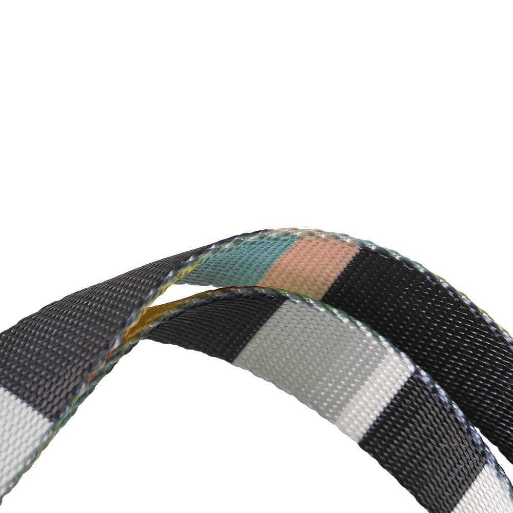 PIDAN Collar - Dog - A3 - Petso Online