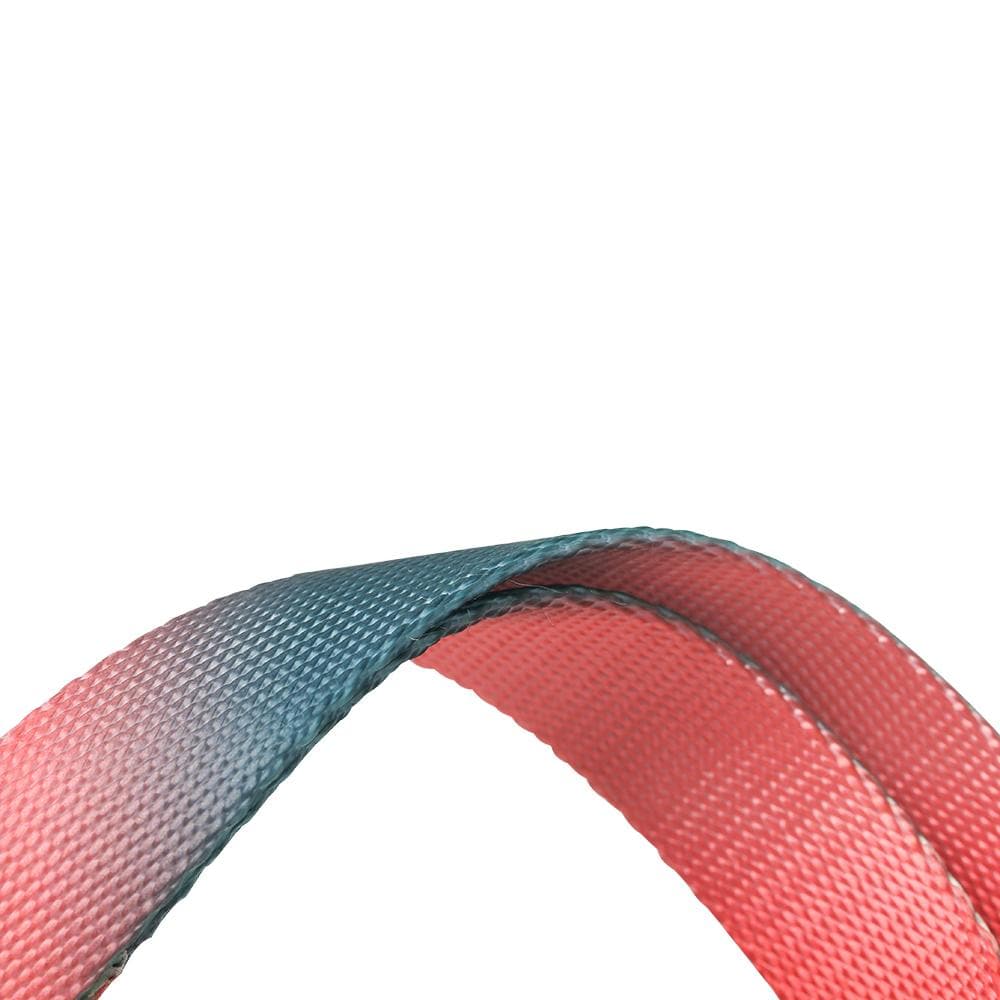 PIDAN Collar - Dog - A2 - Petso Online