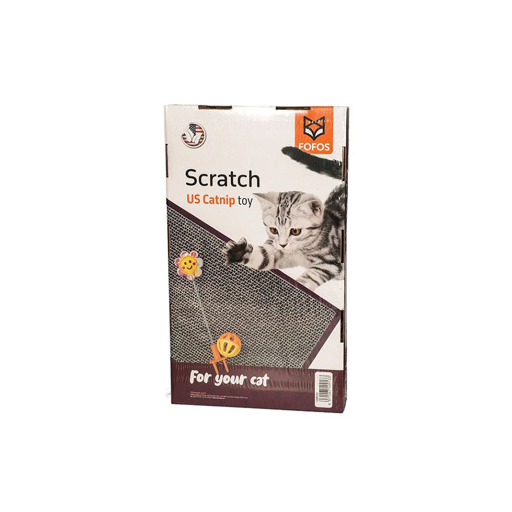 FOFOS Rock & Roll Play Box Cat Interactive Toy