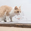 PIDAN Cat Bowl - Petso Online 