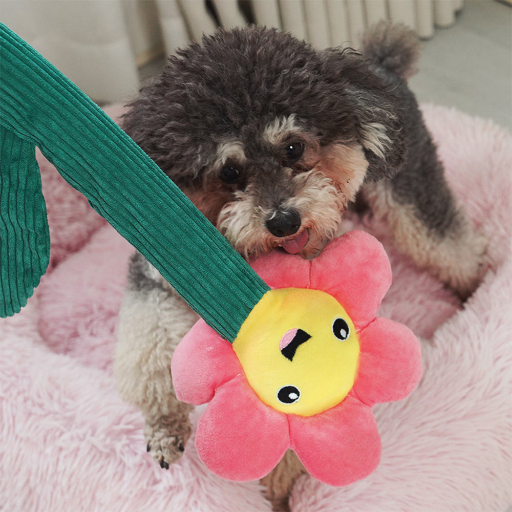 Pink Flower Dog Squeaky Teaser Toy