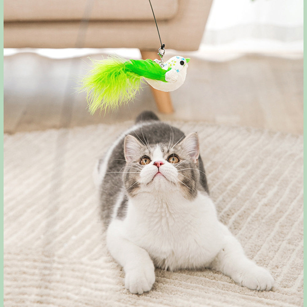 Simulation Feather Steel Wire Cat Teaser Wand Green-tailed Bird