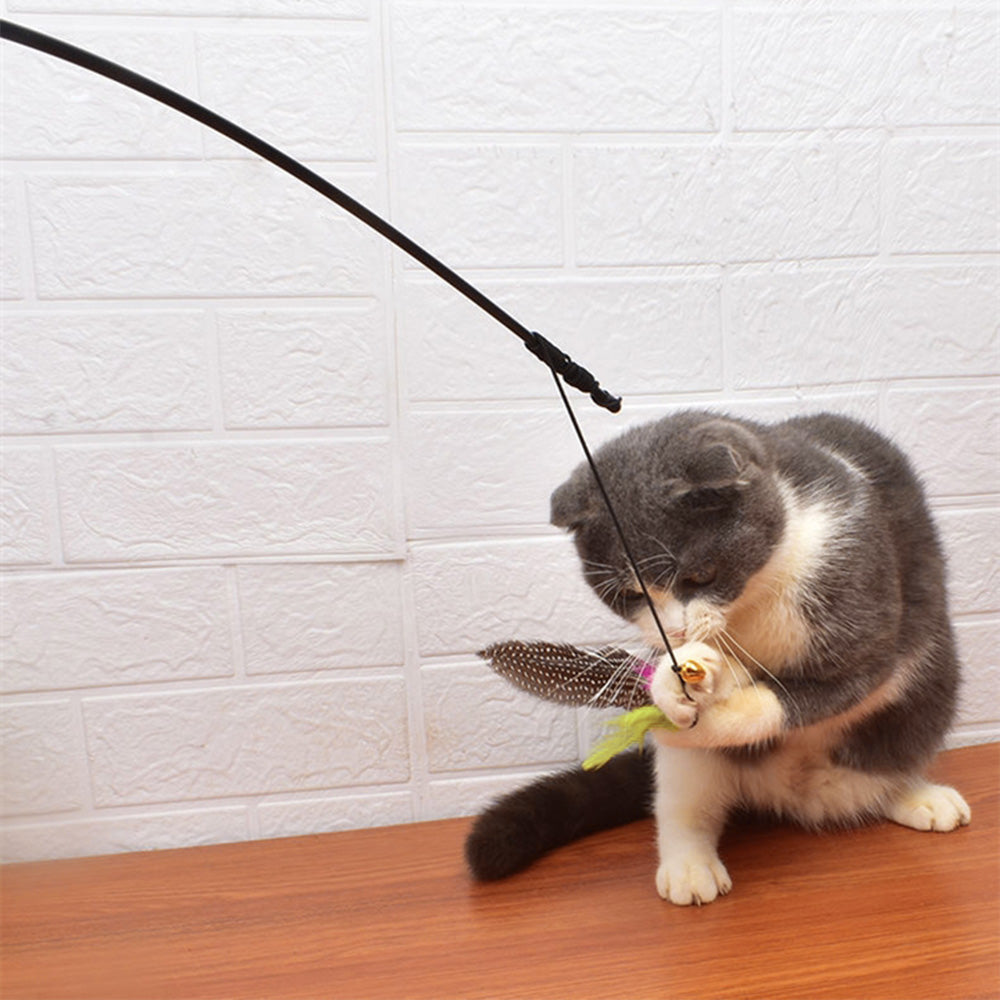 Large Bird Feather Cat Teaser Toy