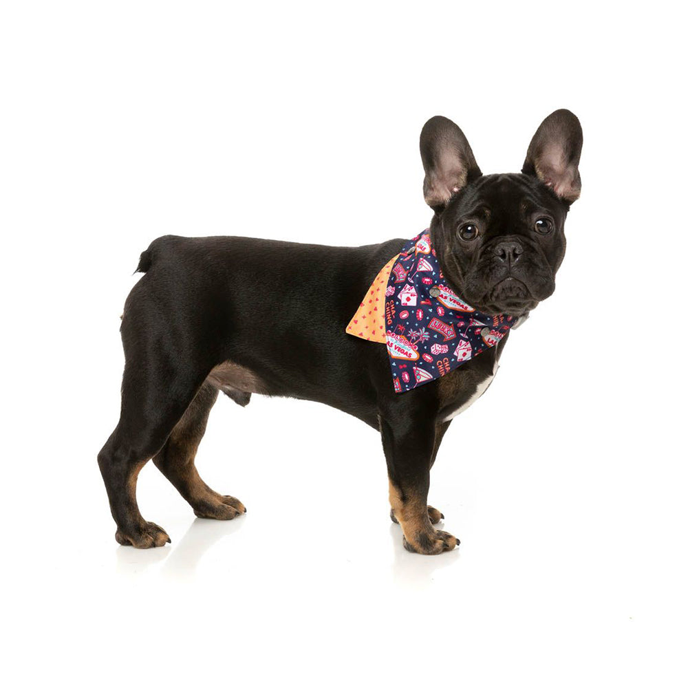 FUZZYARD Jackpup Bandana for Small and Medium Dogs