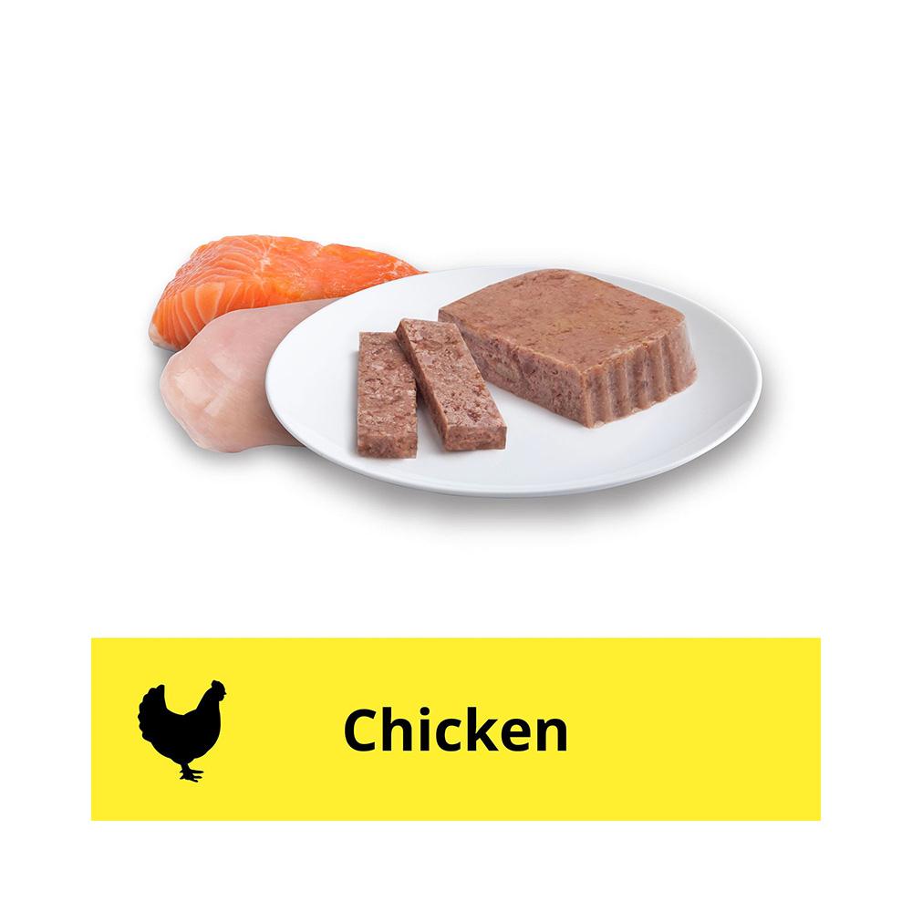 ADVANCE Chicken & Salmon Medley Cat Food for Adult Cats 7x85g