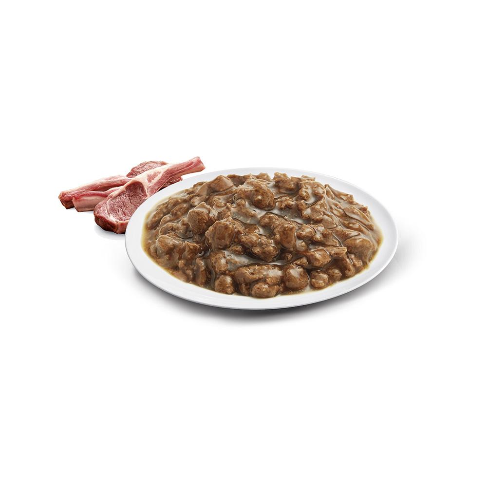 ADVANCE Lamb Gravy Cat Food for Kittens 12x85g