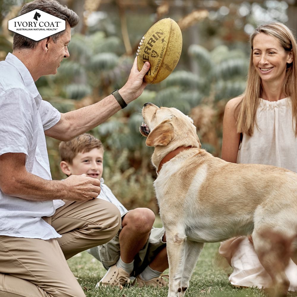 IVORY COAT Grain Free Lamb & Kangaroo Adult Dog Food 13kg