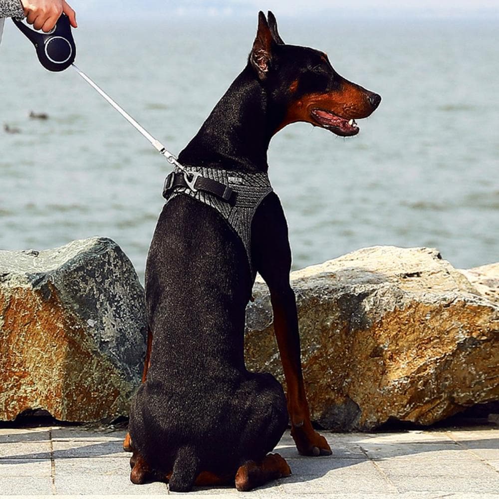 PETKIT Air Fly Large Dog Harness