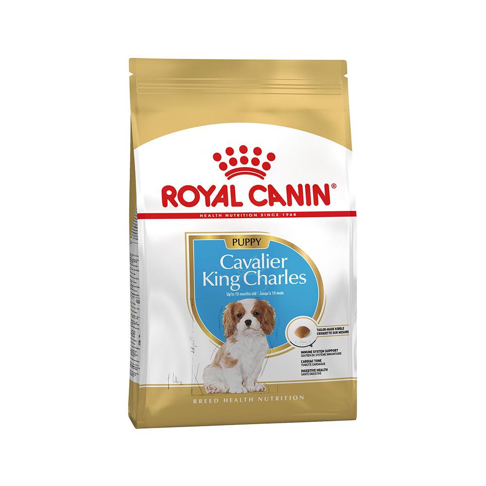 ROYAL CANIN Cavalier King Charles Puppy Dry Dog Food 1.5kg