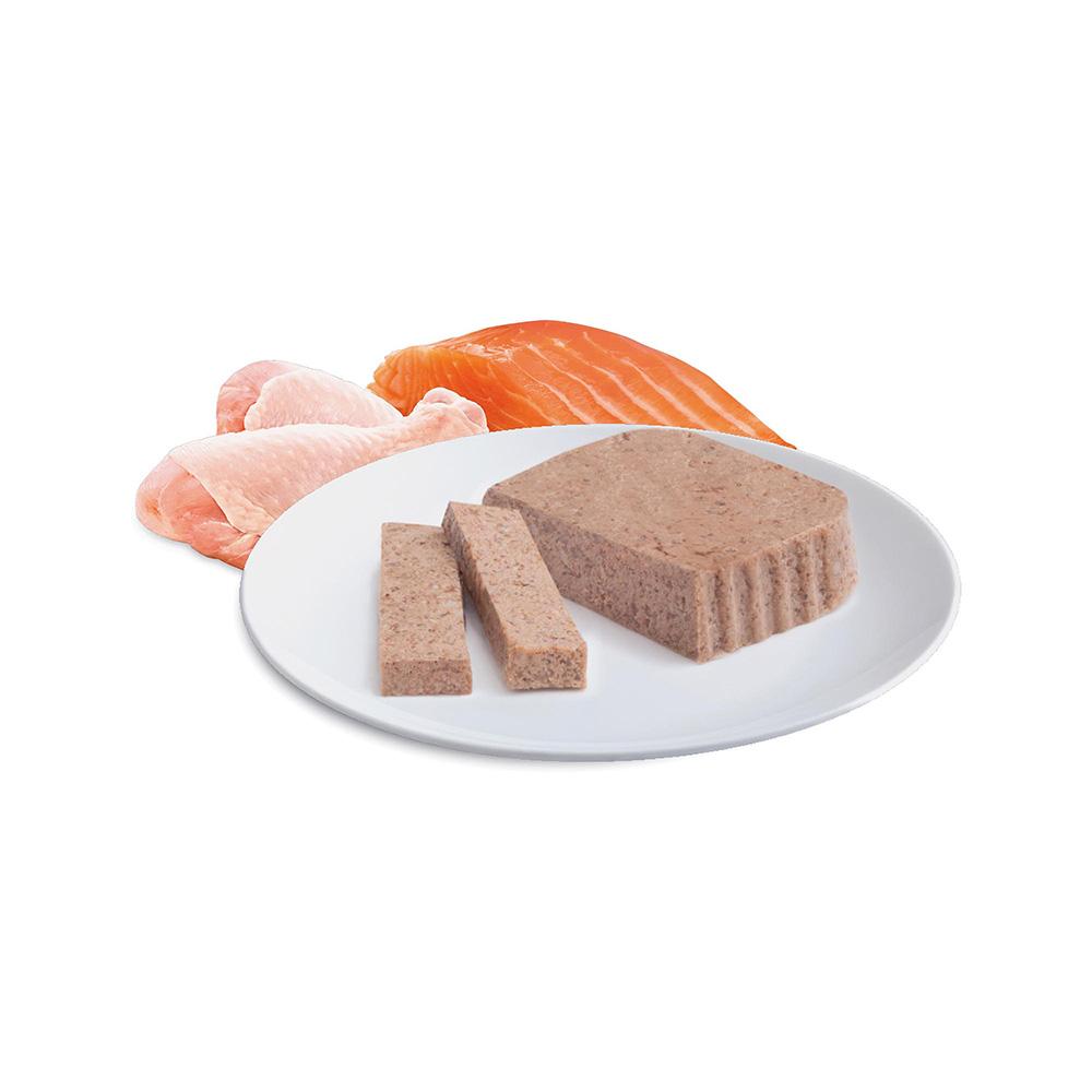 ADVANCE Chicken and Salmon Cat Food for Kittens 7x85g