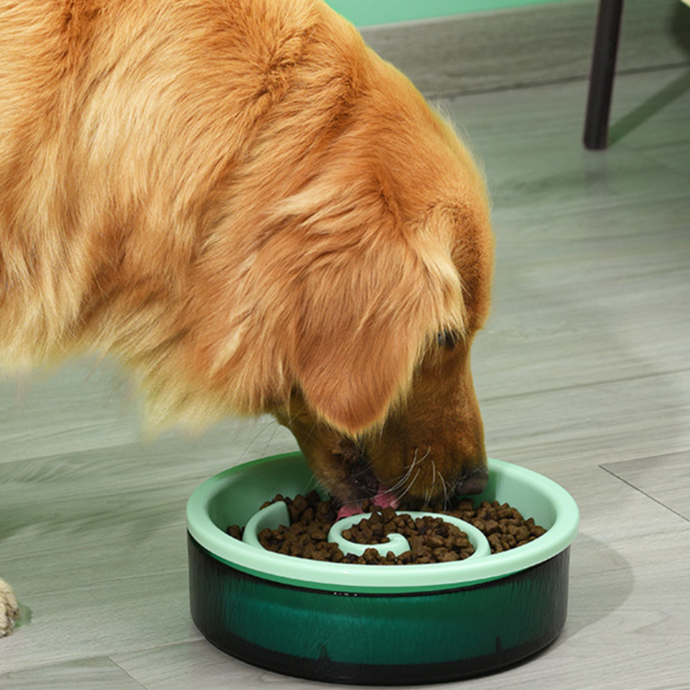 PAKEWAY Yellow Glass Slow-feed Bowl For Pets