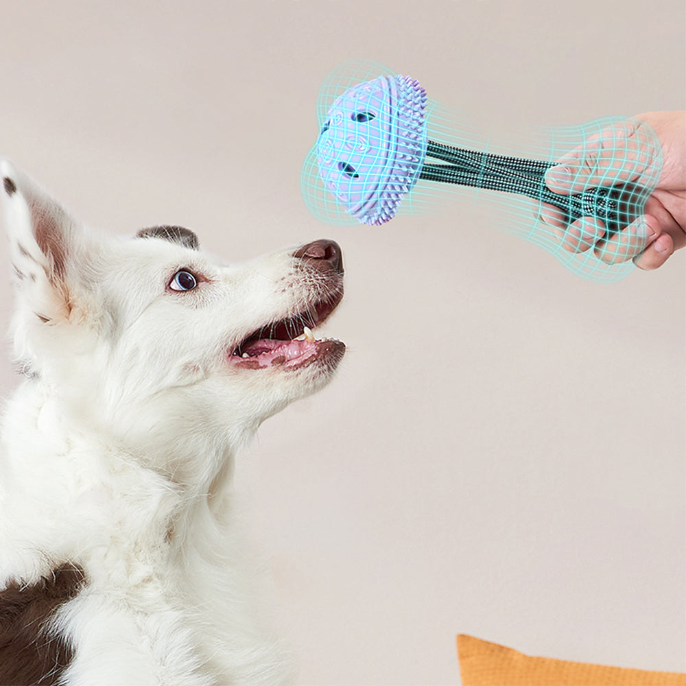 PAKEWAY Blue Jellyfish Play & Food Feeder for Big Dogs