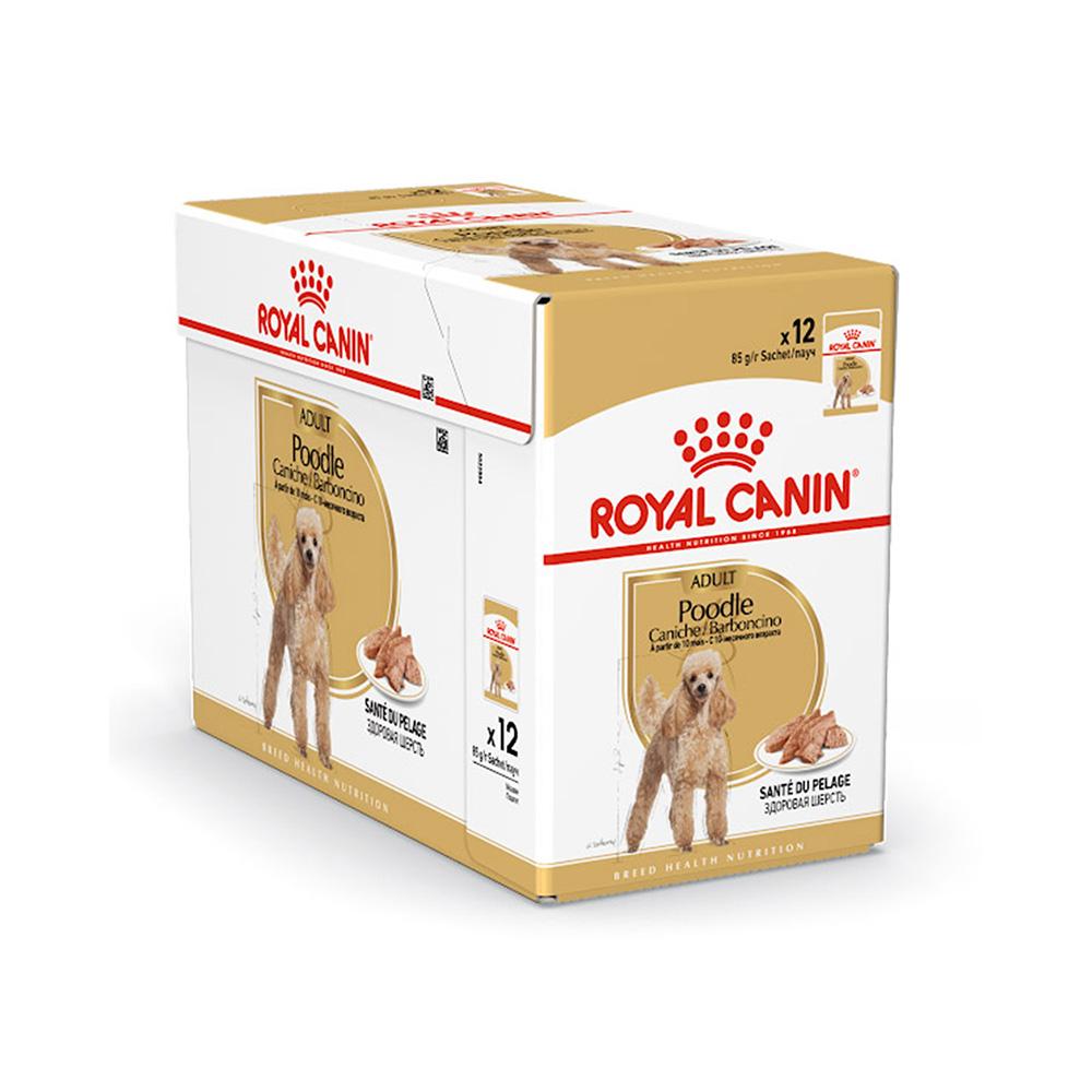ROYAL CANIN Poodle Adult Wet Dog Food 85g x 12