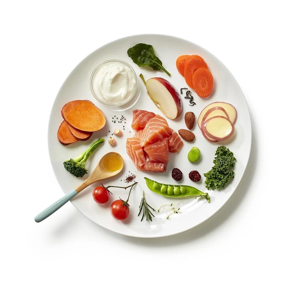 PURE LIFE Natural Boost Salmon Grain Free Dog Food for Adult Dogs 8kg